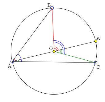 Inscribed and Central Angles in a Circle