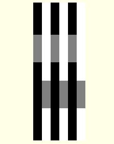 White's simultaneous contrast illusion