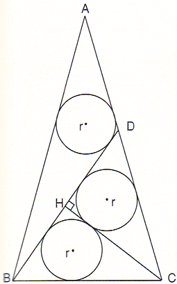 Chapter 6, problem 3, Fukagawa & Rothman