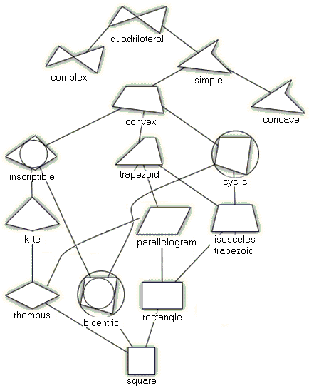 classification diagram for quadrilaterals