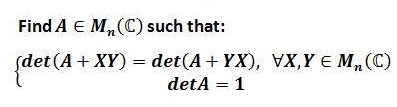 A System of Equations in Determinants