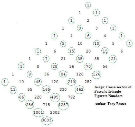 Figurate Numbers in Pascal's Triangle